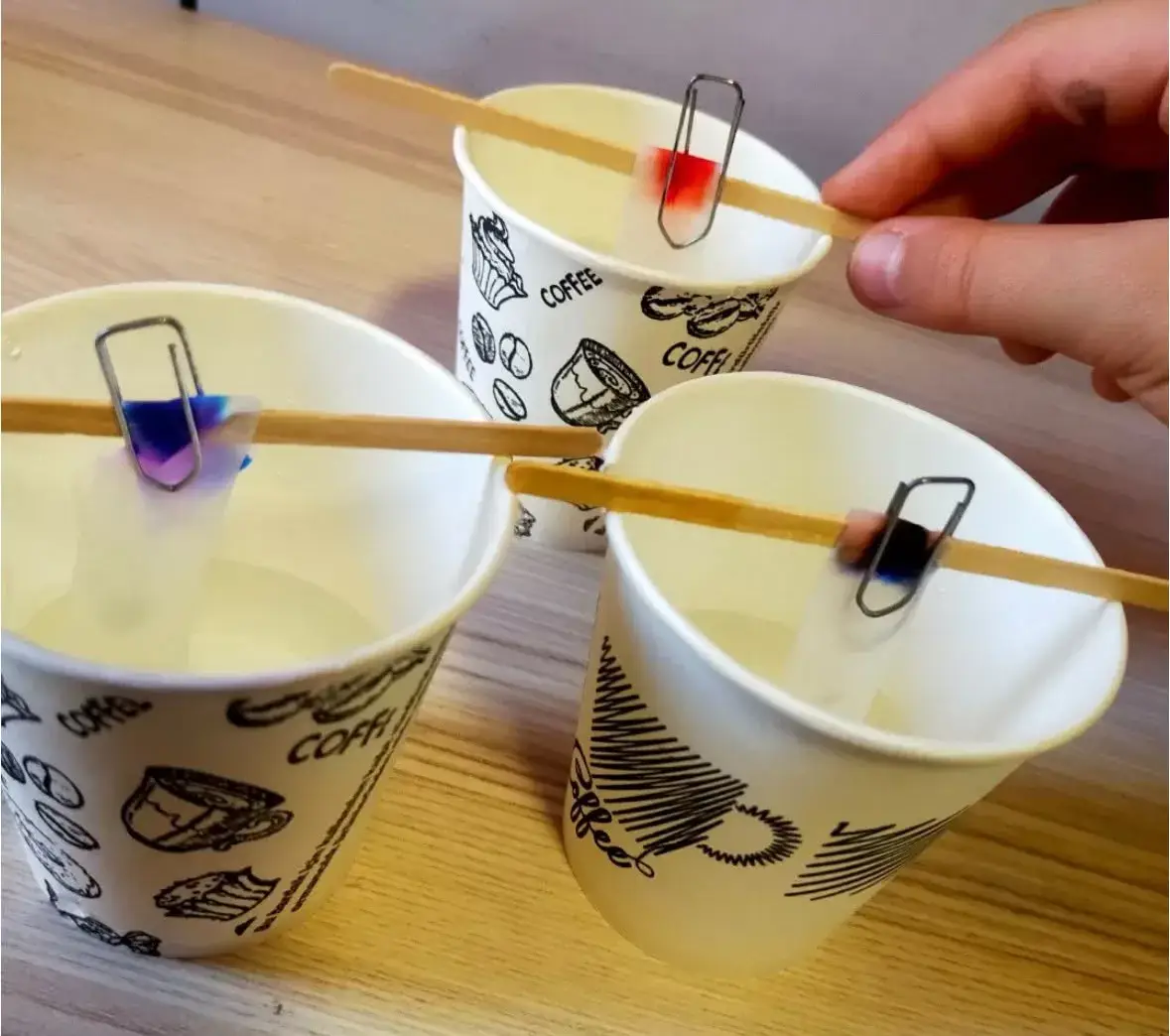 MIND AND SCIENCE: MERAK ET, SORGULA, KEŞFET!